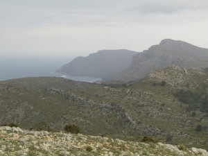 IMG_4777 (Medium)